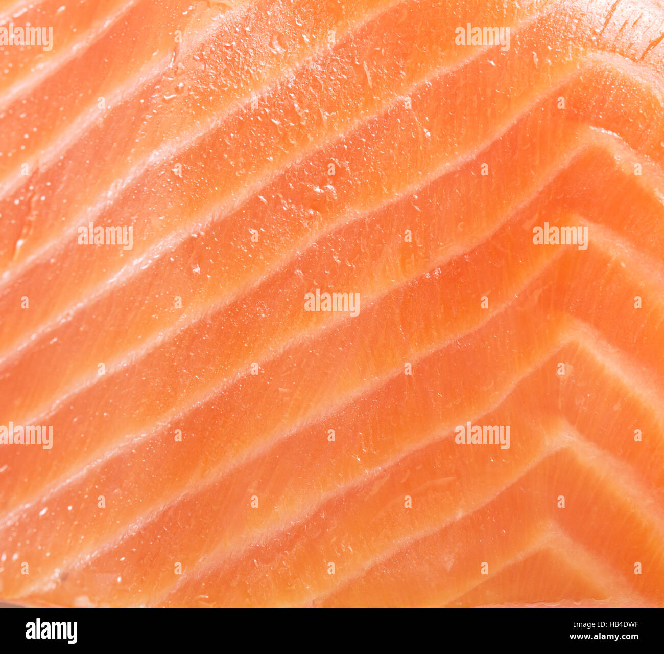 red fish background Stock Photo