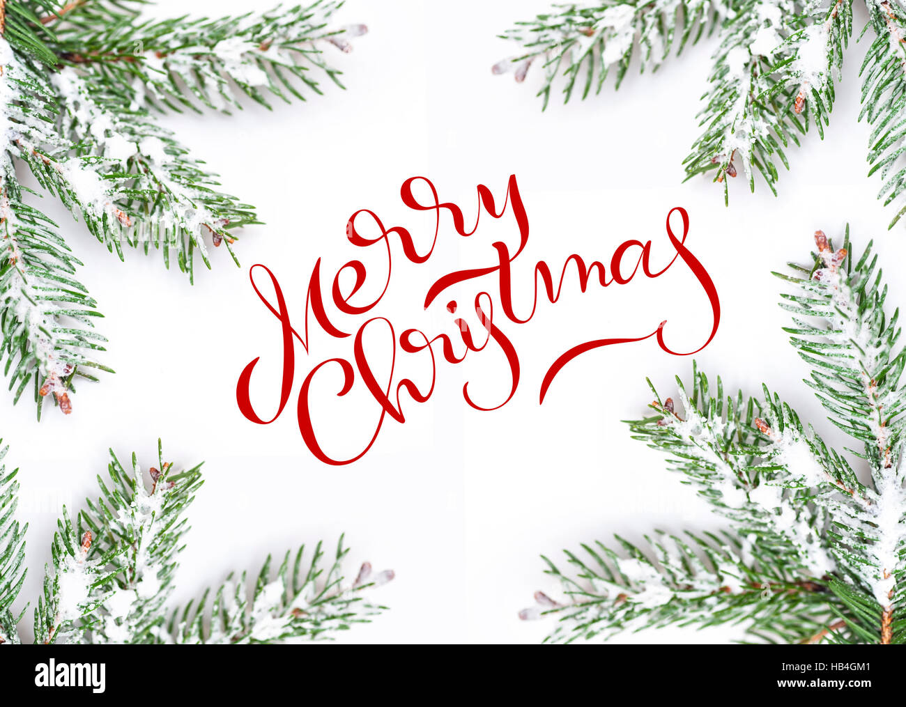 green frame fir branches isolated on white background with text Merry ...