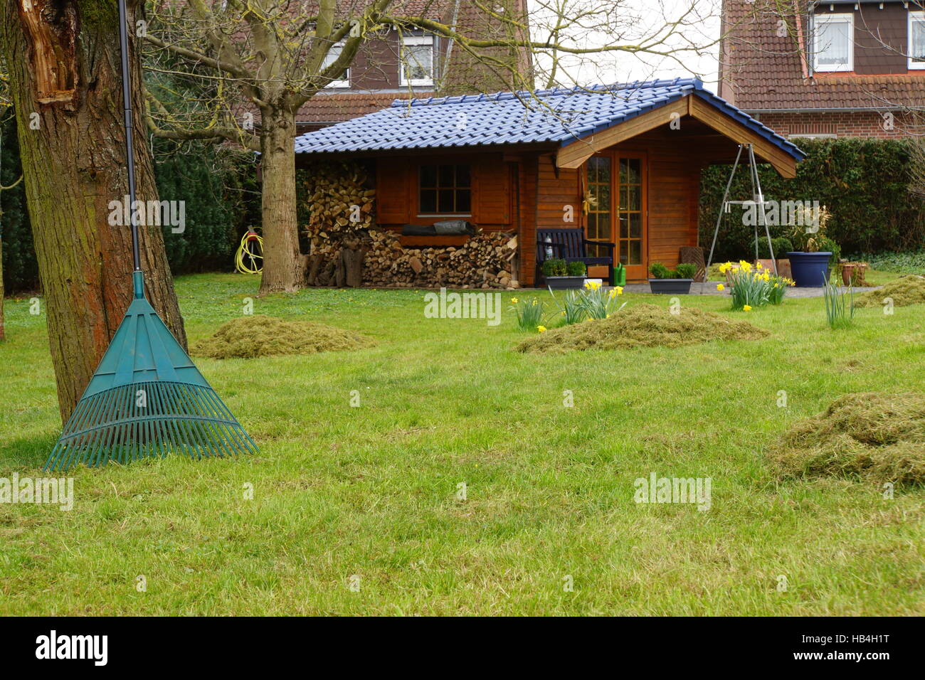 thatching the lawn in spring Stock Photo