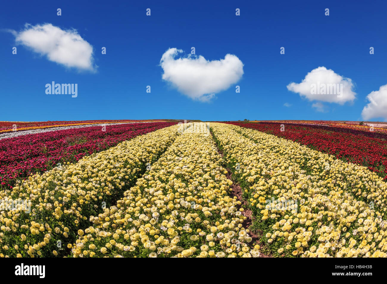 Beautiful day Stock Photo - Alamy
