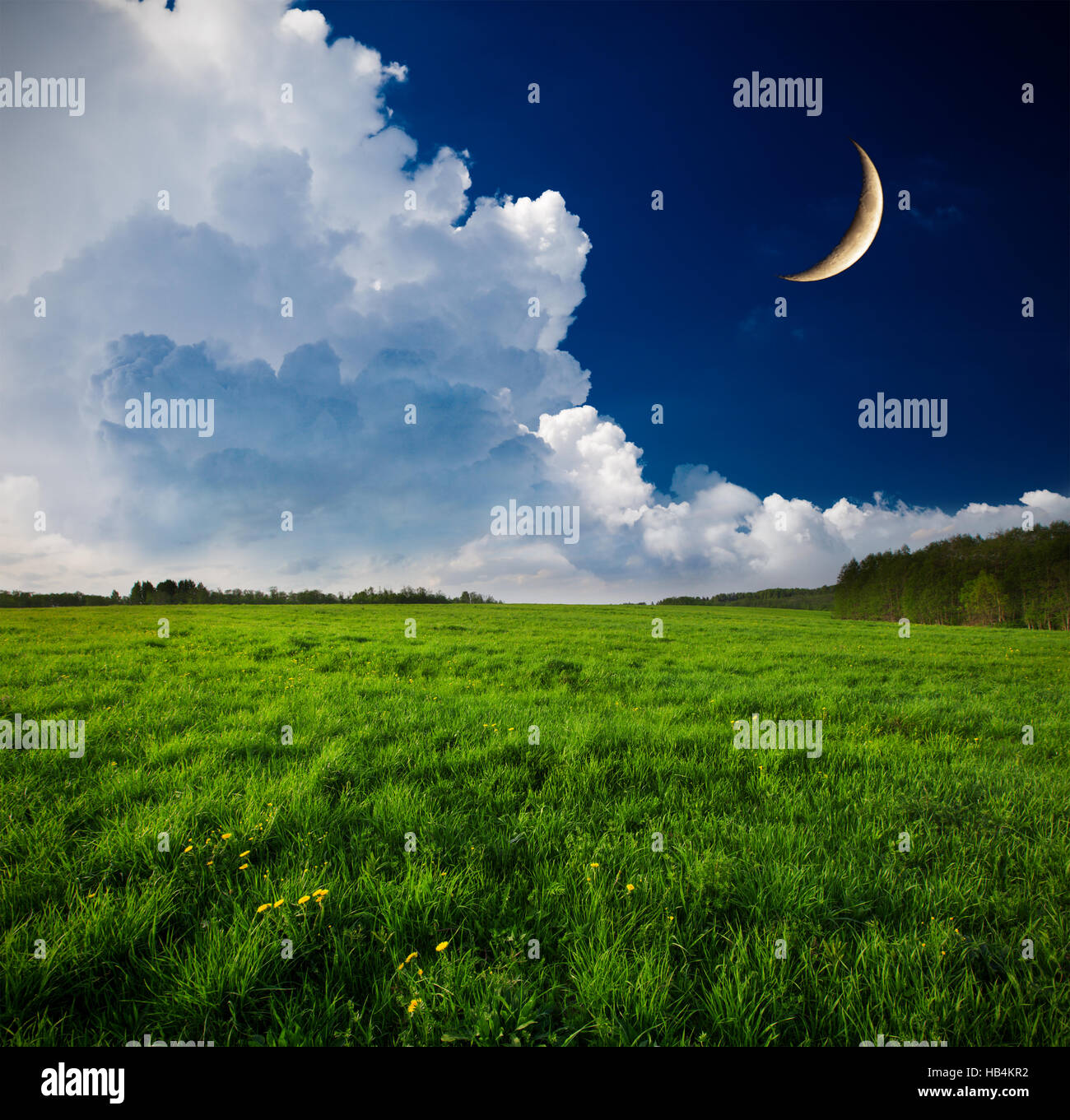 Night and the moon on a green field Stock Photo