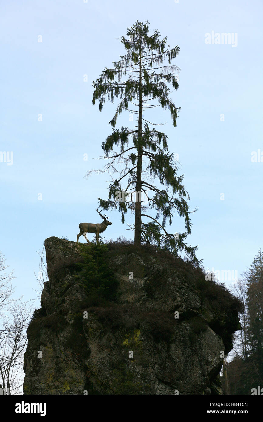 Deer on a rock in the Wehra valley Stock Photo