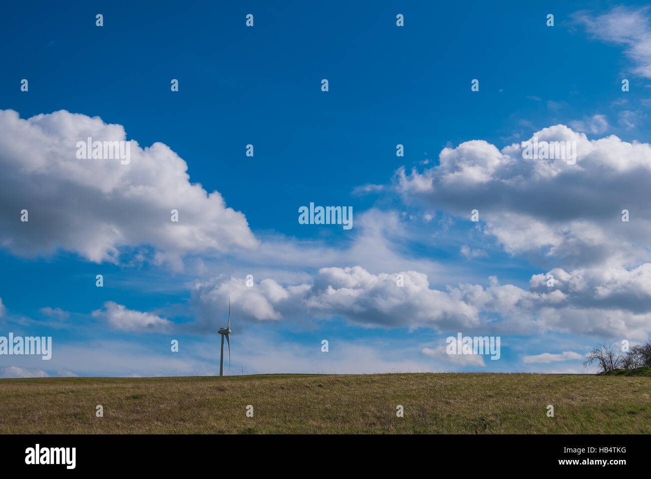 Landscape with windmill in spring Stock Photo