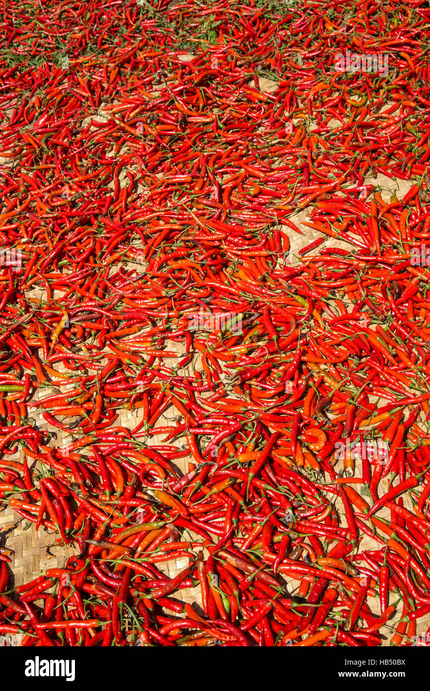 Hot chilli peppers Stock Photo Alamy