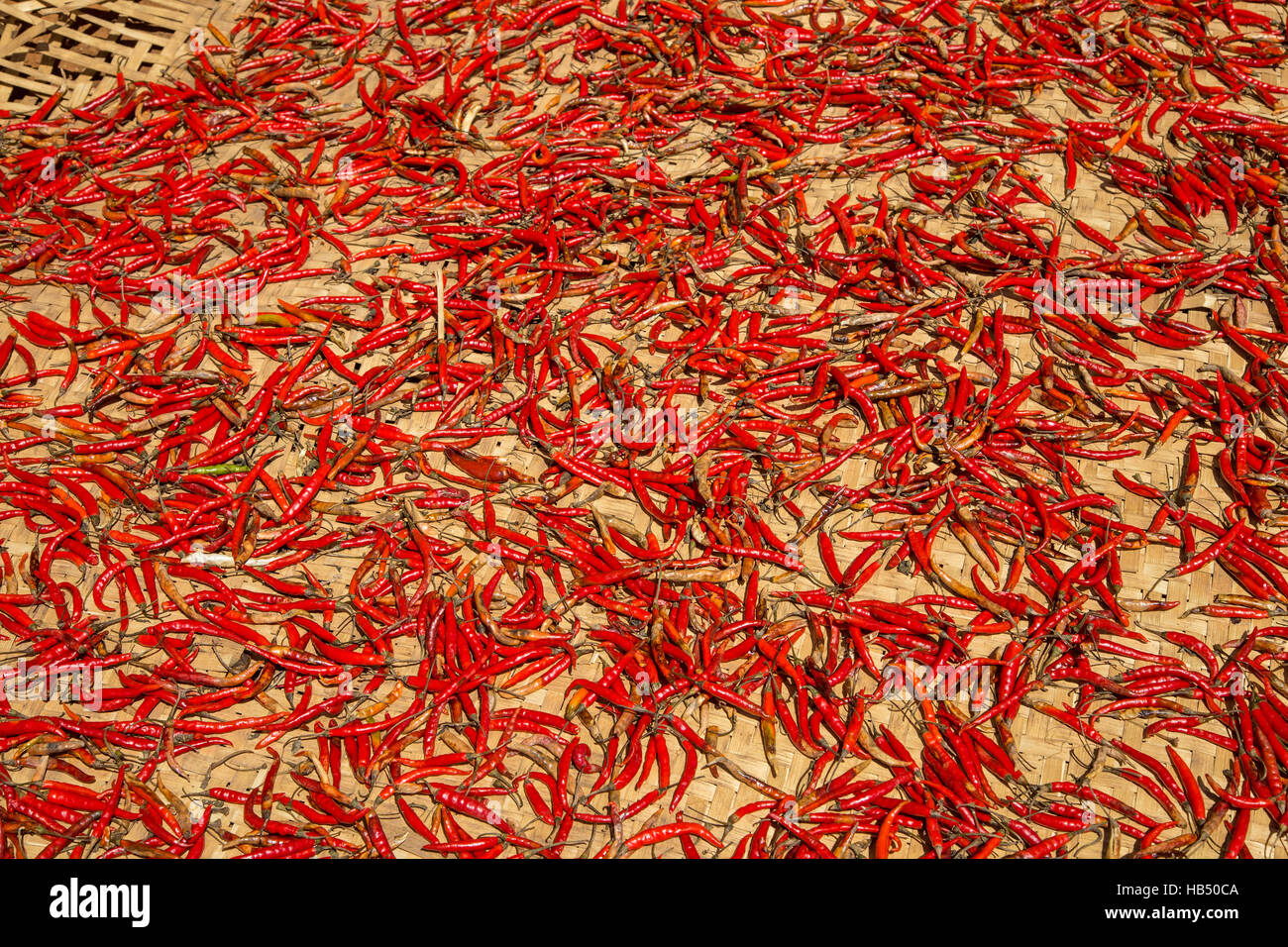 Hot chilli peppers Stock Photo - Alamy