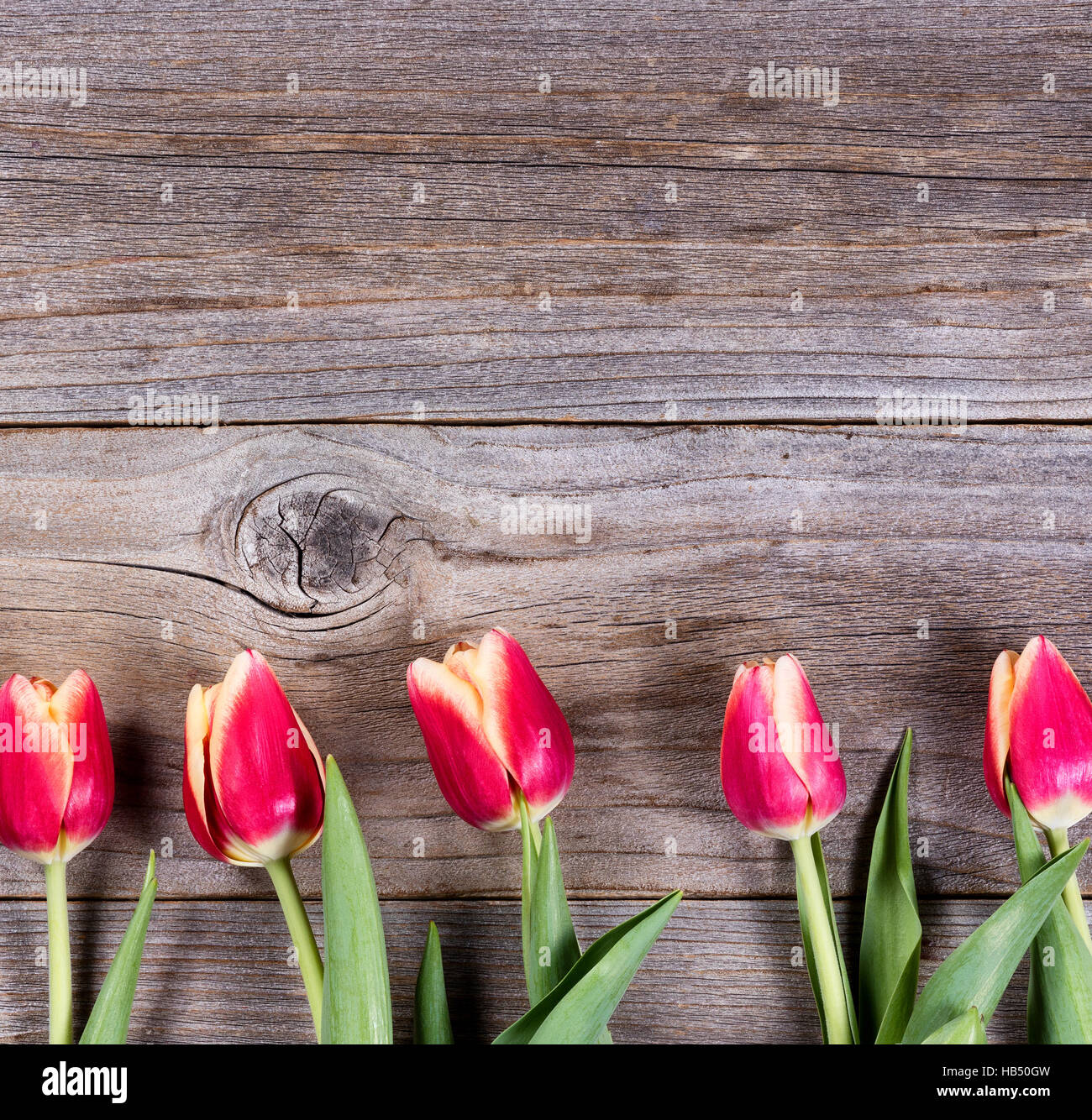 Lovely tulips on rustic wood Stock Photo Alamy