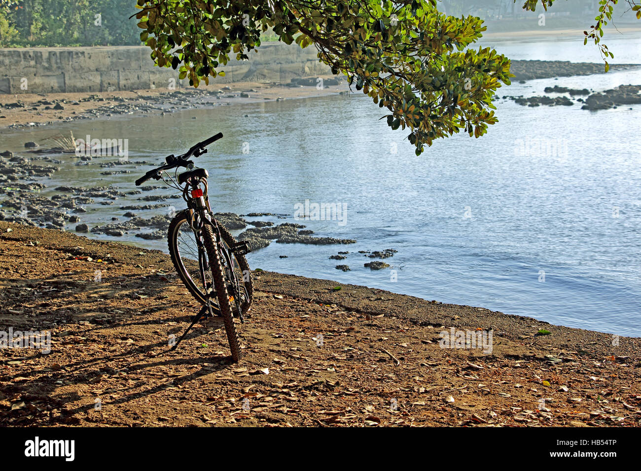 Bicycle parked at the elevated pathway while cycling along the coastline at Bambolim in Goa, India Stock Photo