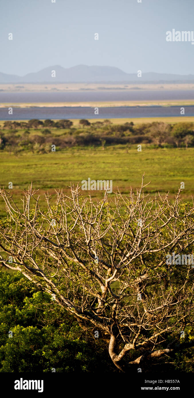 blur in south africa pond lake isimagaliso nature reserve and bush