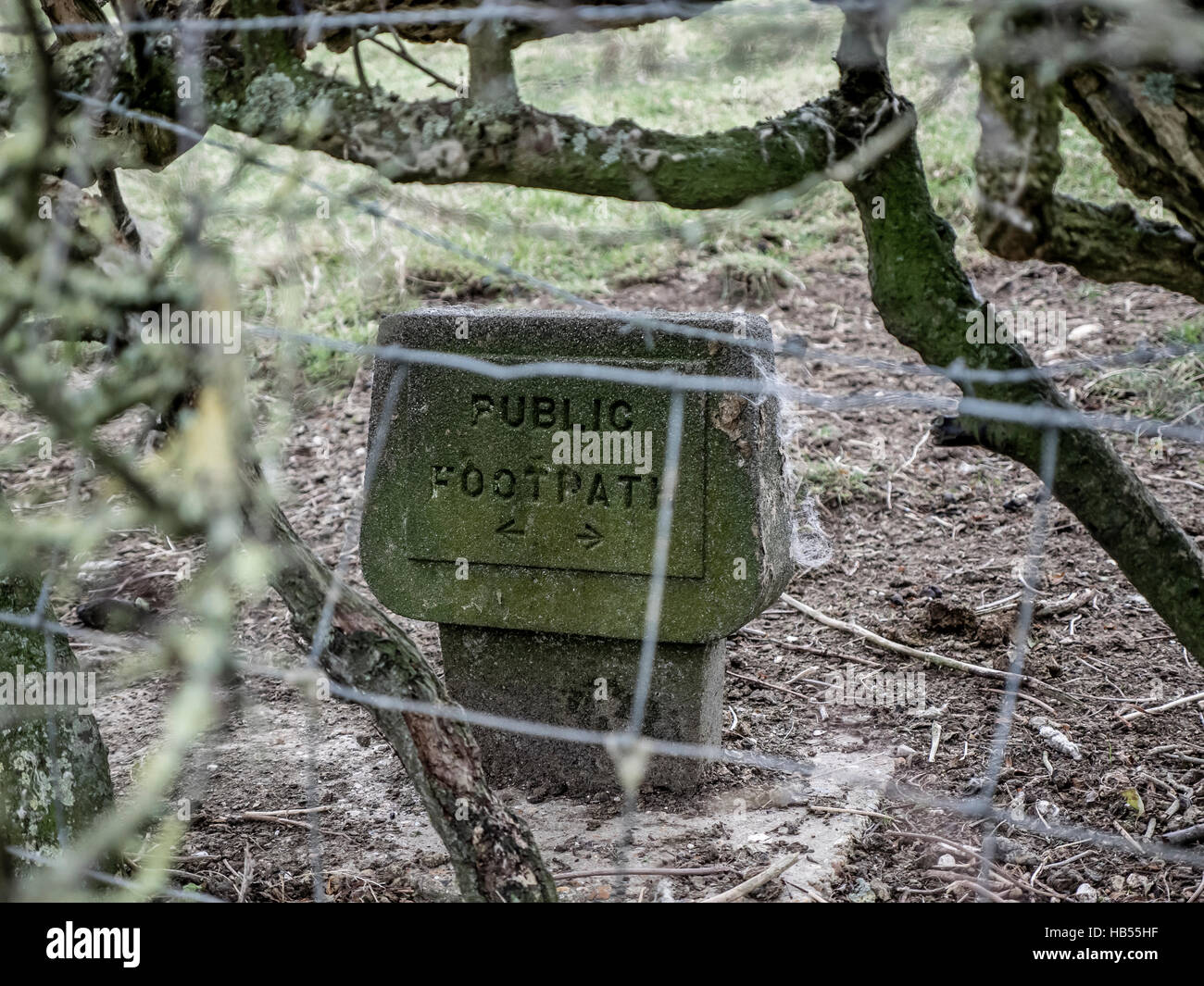 Public footpath sign hidden under hedge on the South Downs, near Beachy ...