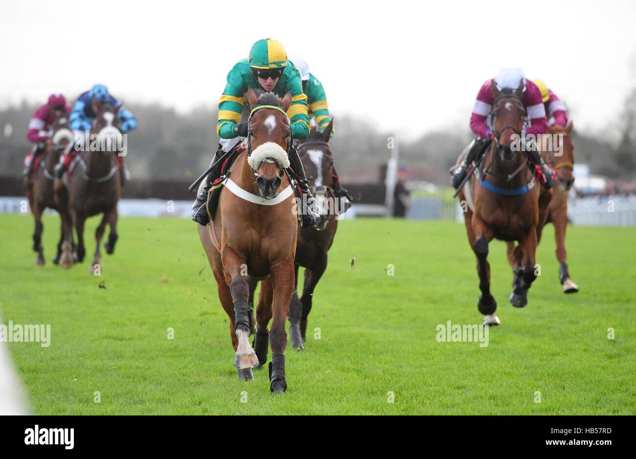 Coney Island ridden by Mark Walsh before winning the Bar One Racing ...