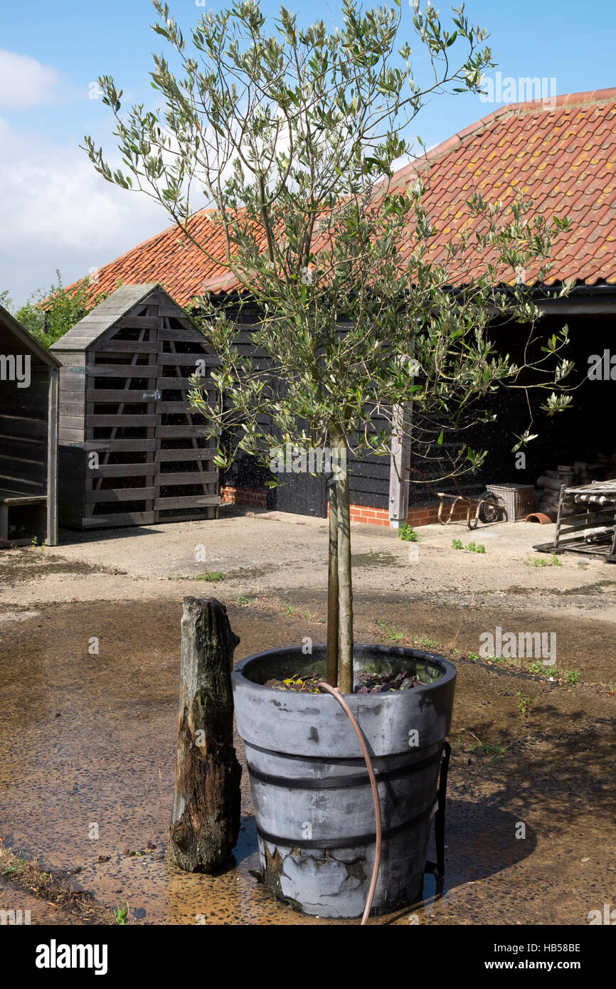 Radio controlled model tug boat Stock Photo Alamy