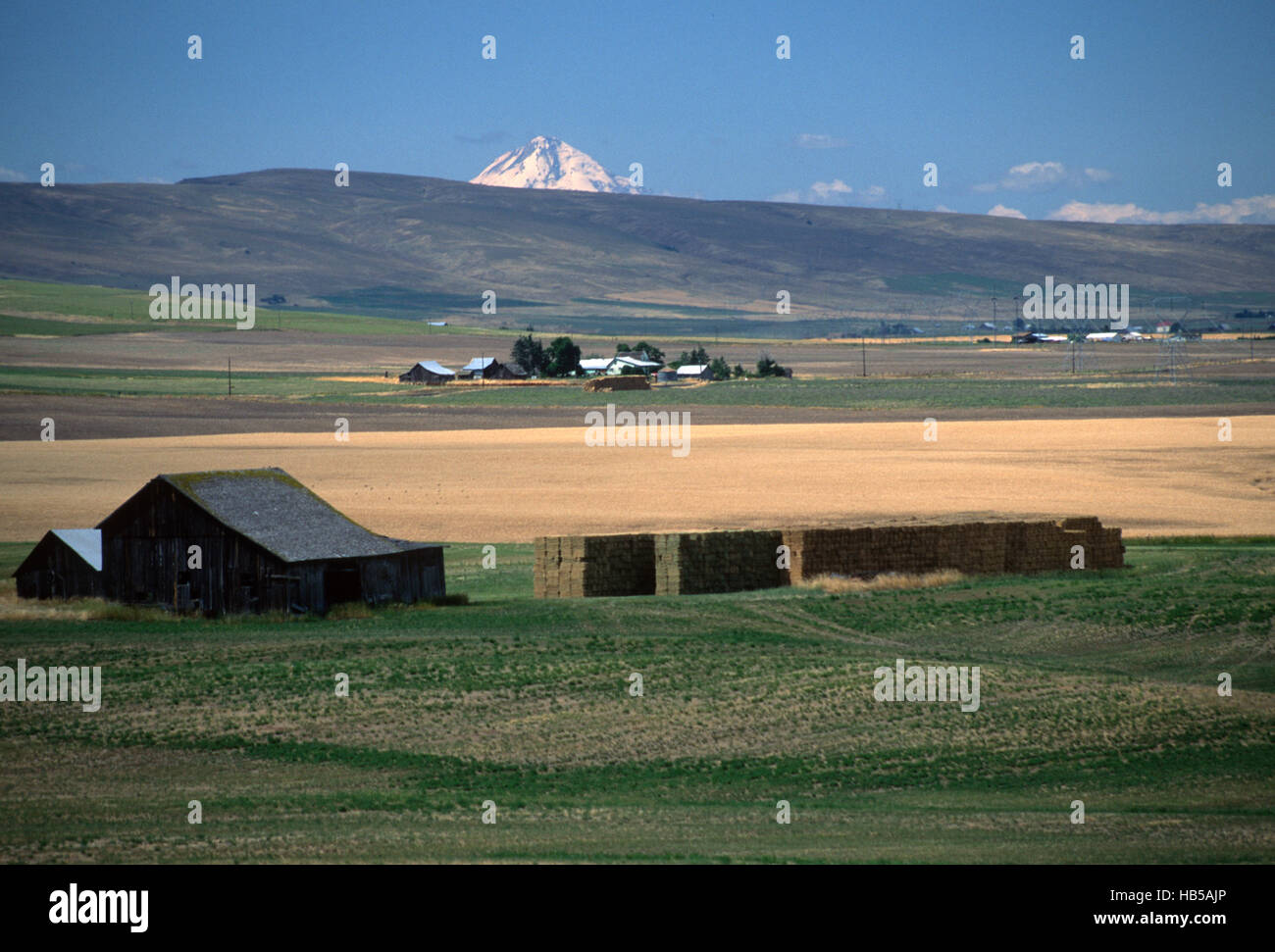 Farm in Eastern Washington Stock Photo