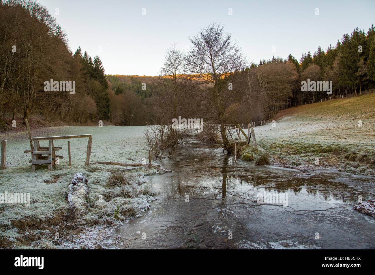 frozen creek and tree Stock Photo