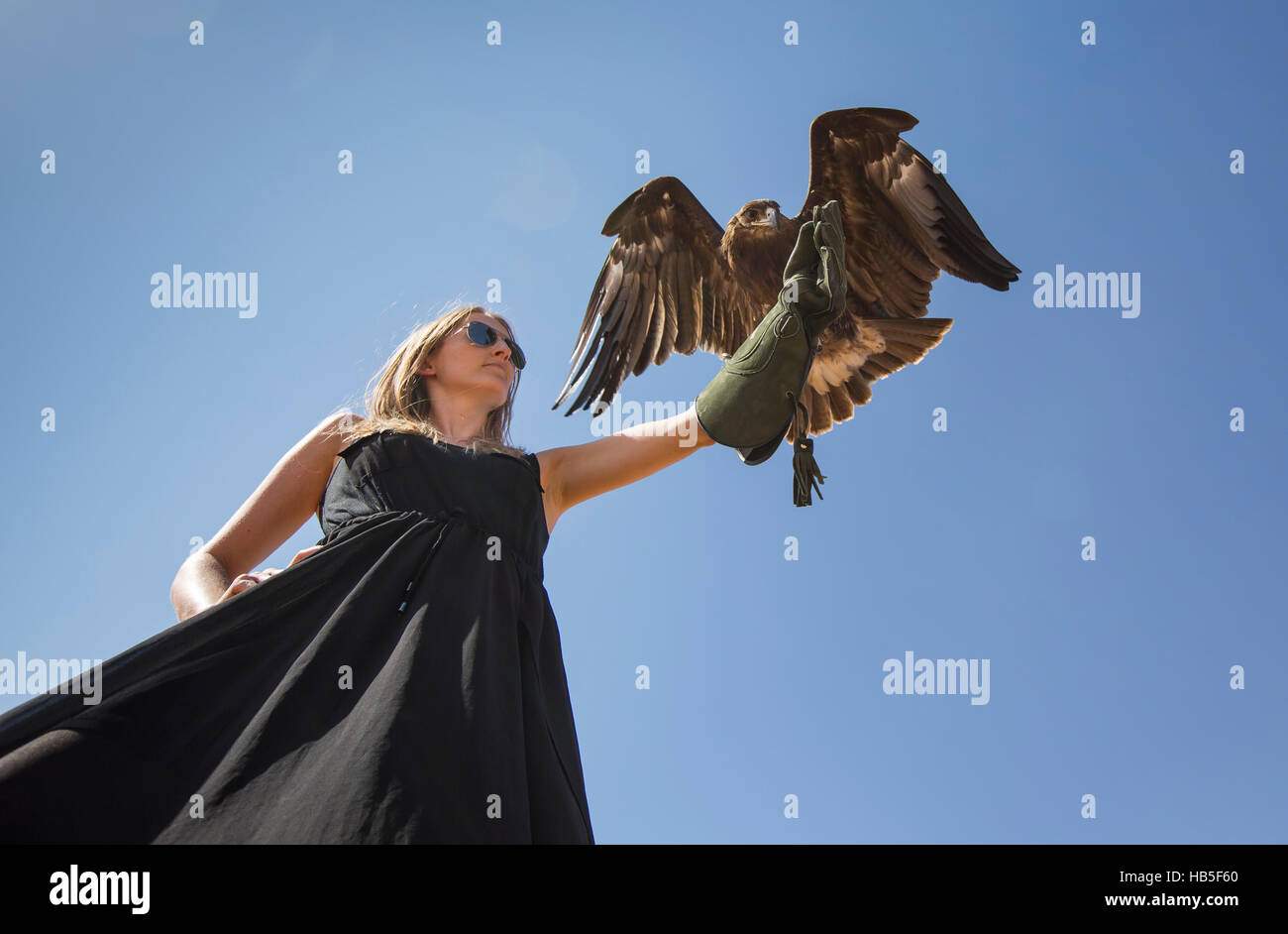 Young woman with Greater Spotted Eagle (clanga clanga) Stock Photo