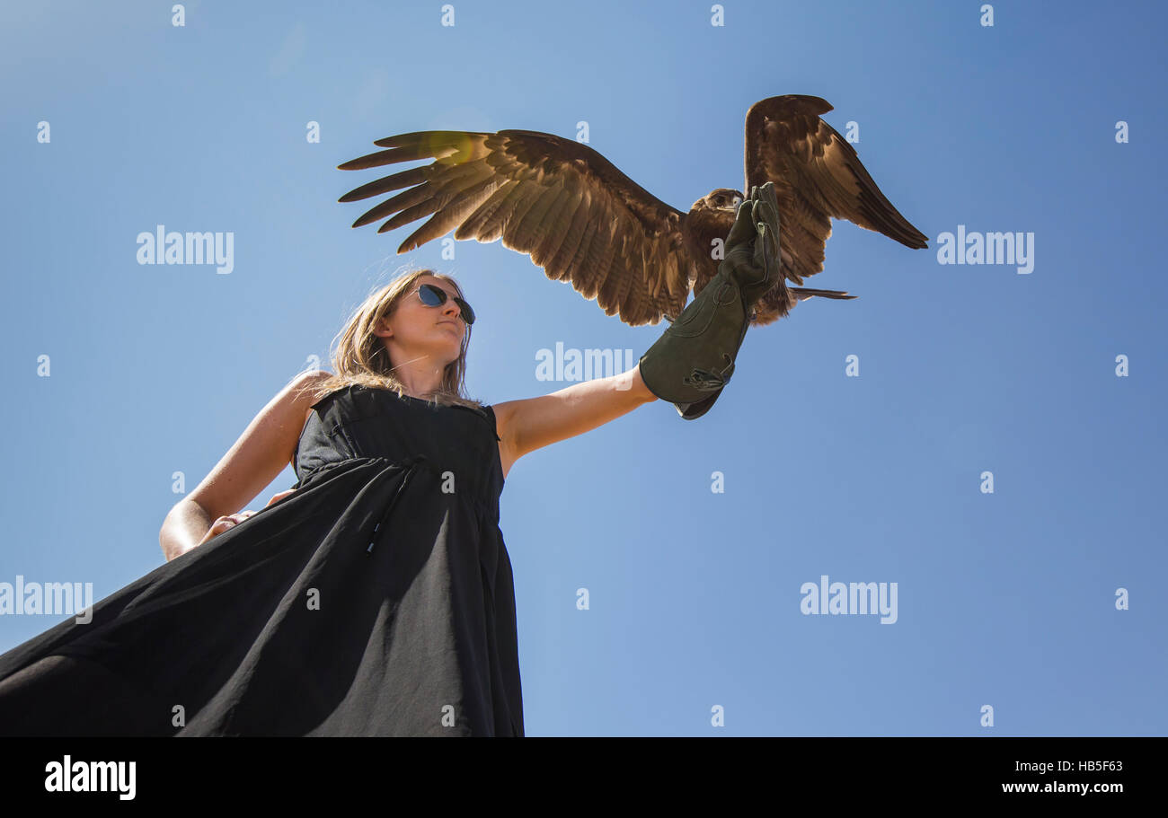 Young woman with Greater Spotted Eagle (clanga clanga) Stock Photo