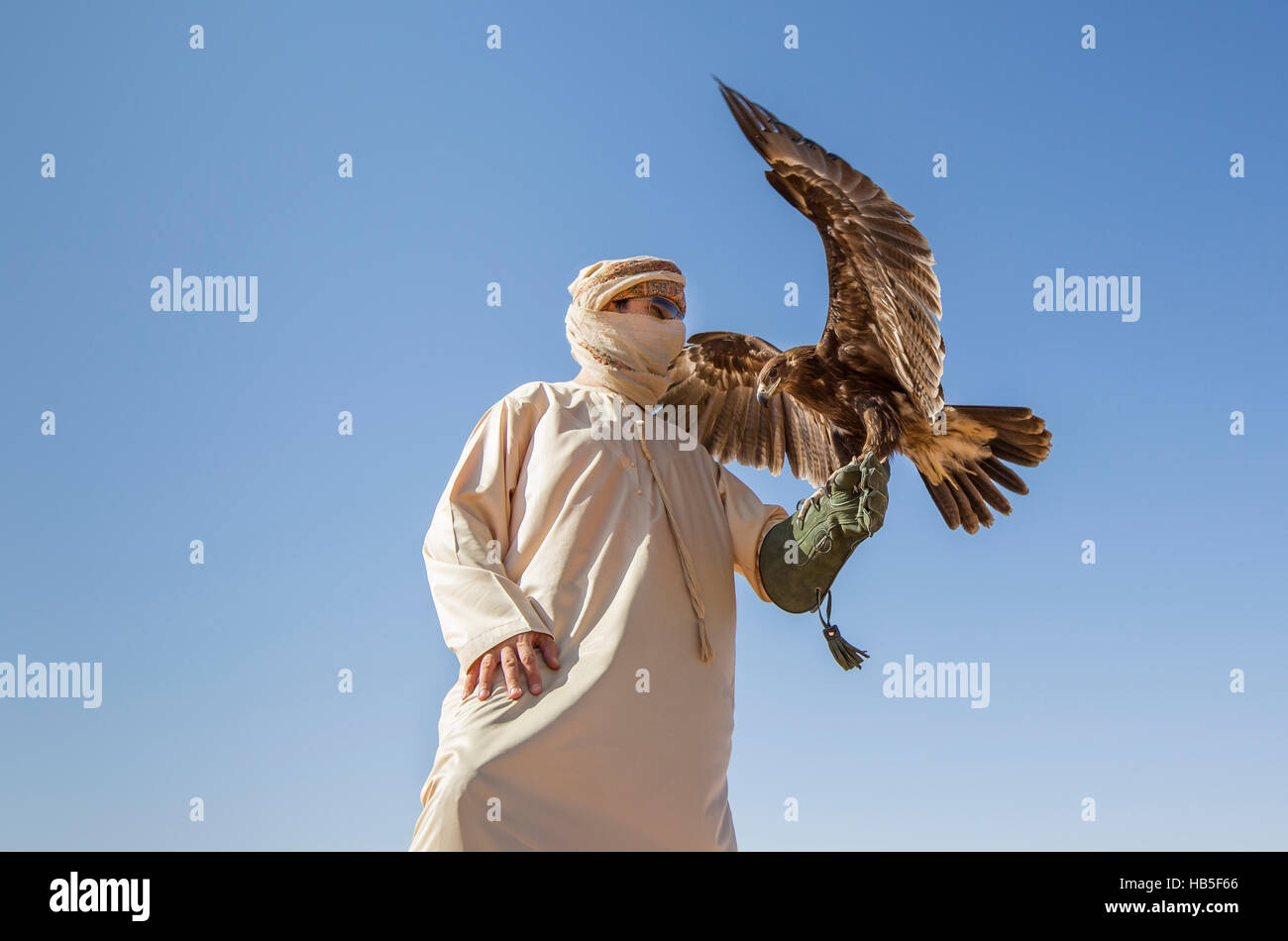 Man in a desert with Greater Spotted eagle (clanga clanga) Stock Photo