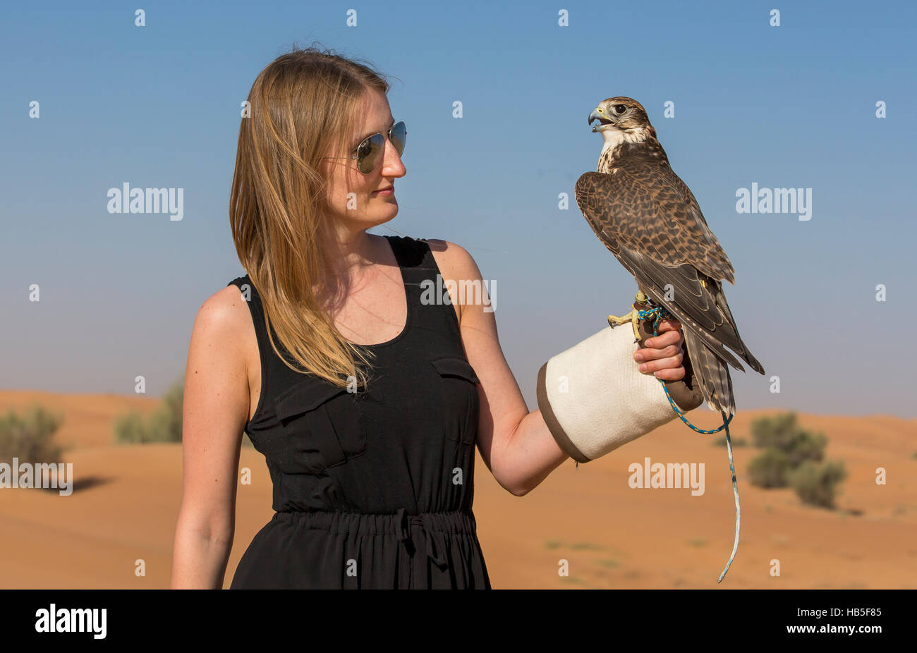 Young woman with Saker falcon (falco churrug) Stock Photo