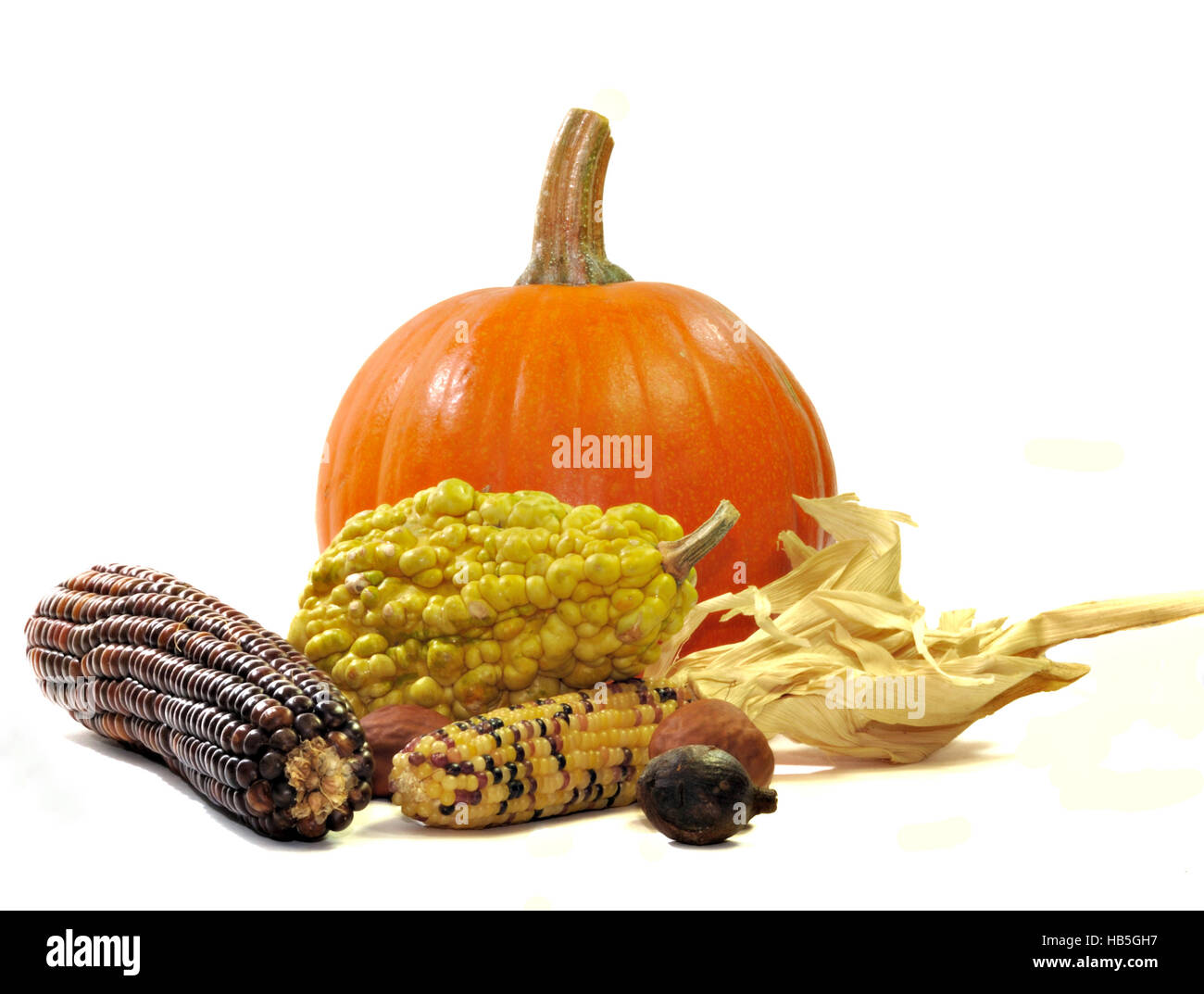 Fall still life of pumpkin, maize, gourds, and nuts isolated on white. Stock Photo