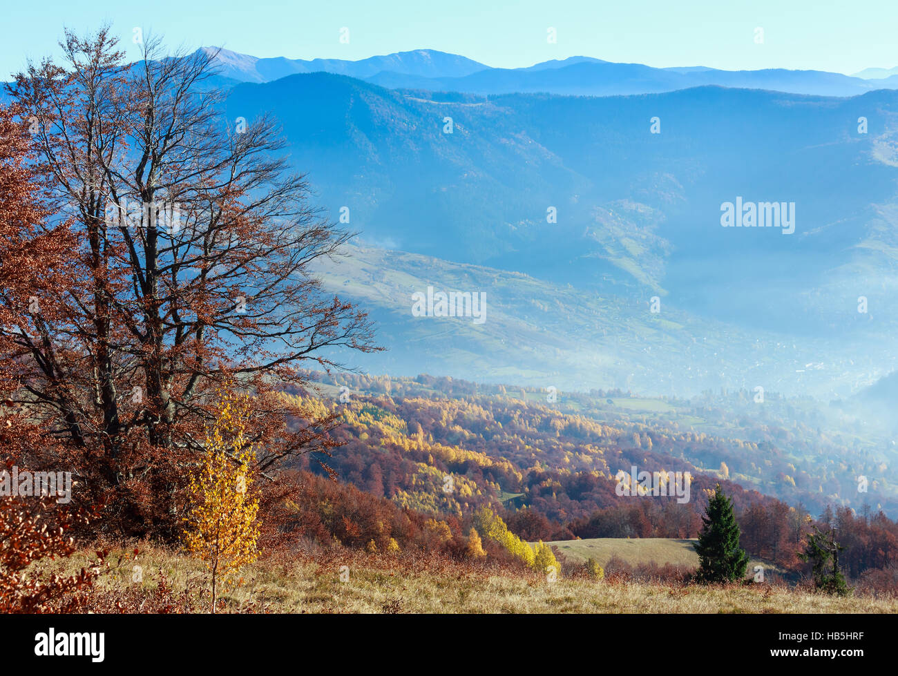 Golden autumn in mountain Stock Photo - Alamy