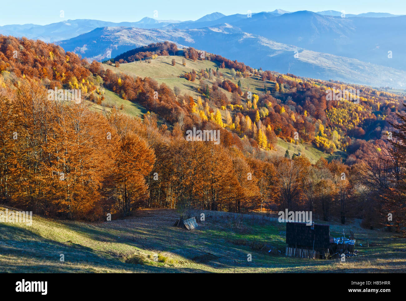 Golden autumn in mountain Stock Photo - Alamy