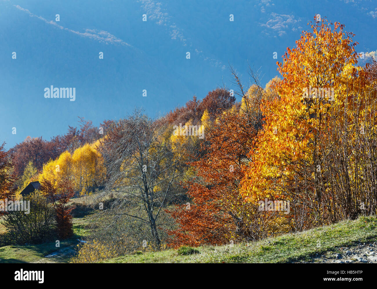 Golden autumn in mountain Stock Photo - Alamy