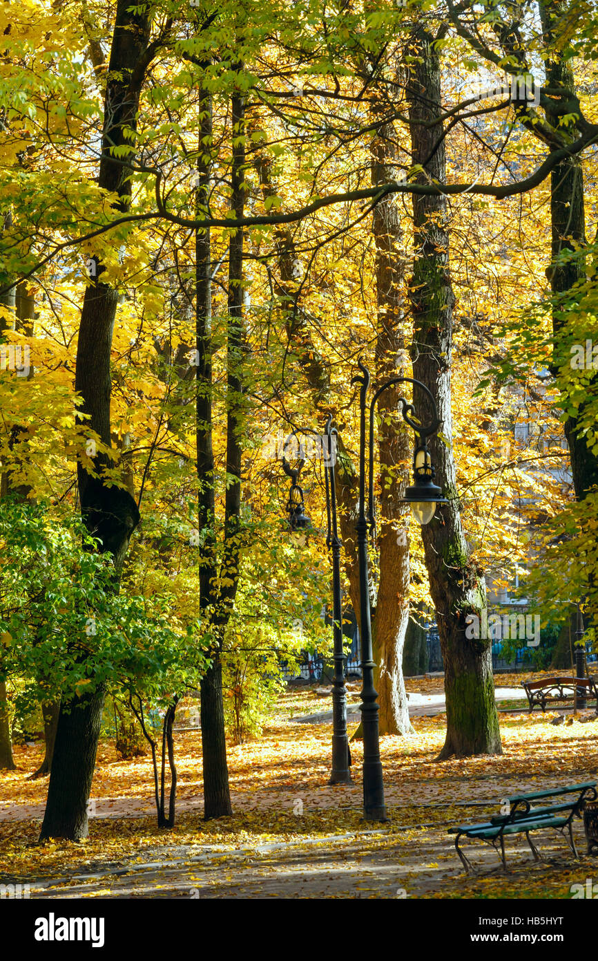 autumn-city-park-stock-photo-alamy