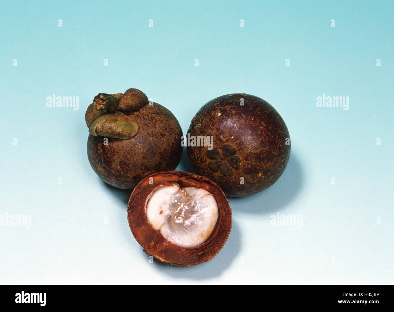 PURPLE MANGOSTEEN is a tropical fruit original from Indonesia Stock Photo