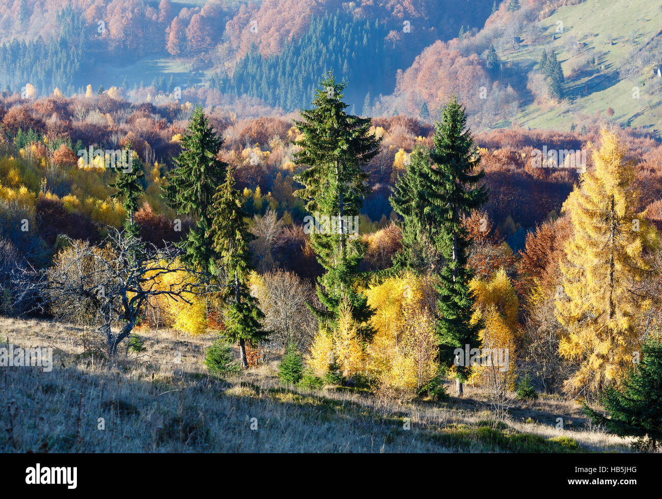 Golden autumn in mountain Stock Photo - Alamy