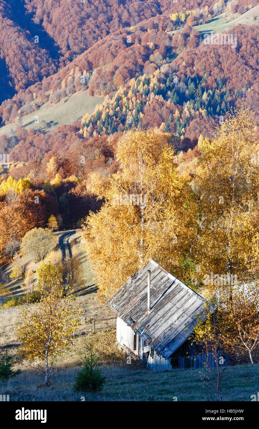 Rural road and golden autumn in mountain Stock Photo - Alamy