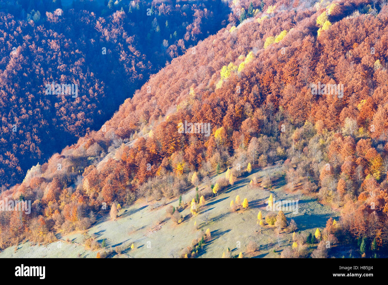 Golden autumn in mountain Stock Photo - Alamy
