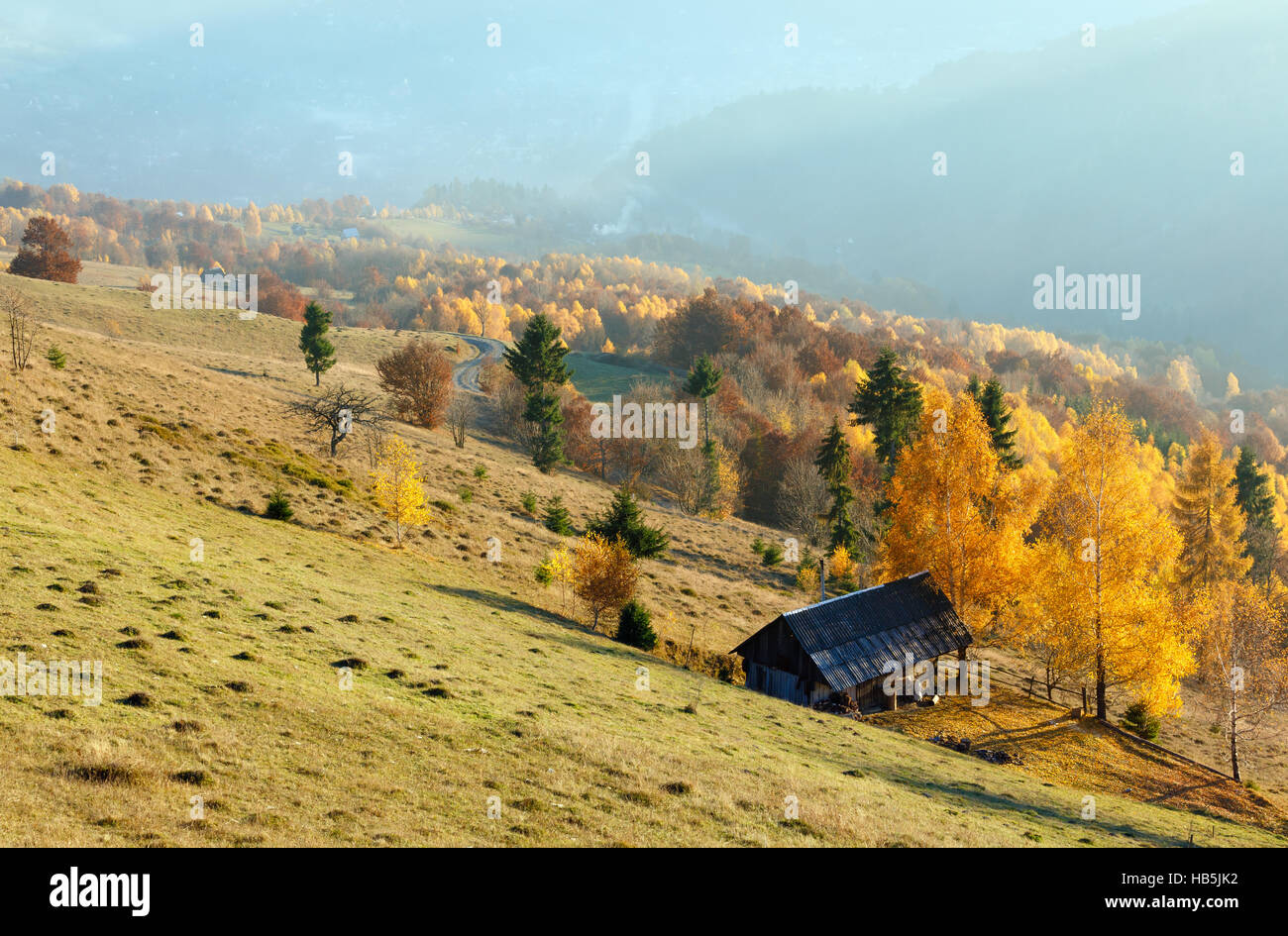 Golden autumn in mountain Stock Photo - Alamy
