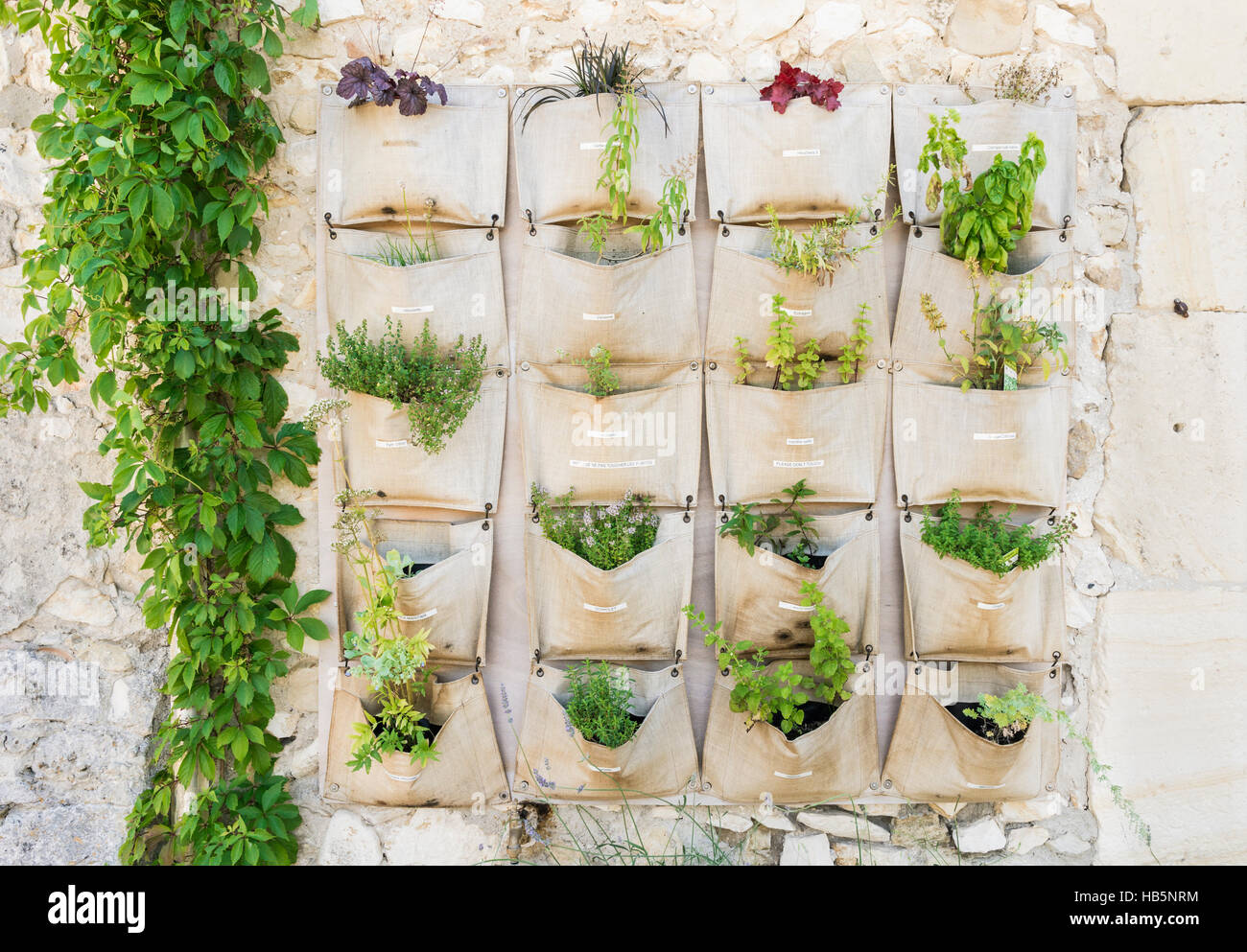 Vertical garden wall feature of herbs in pockets of a hessian bag in Mirmande, France Stock Photo