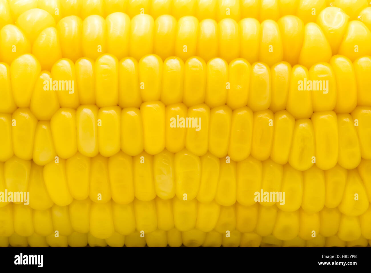 Closeup of yellow corn cob, Macro shot Stock Photo