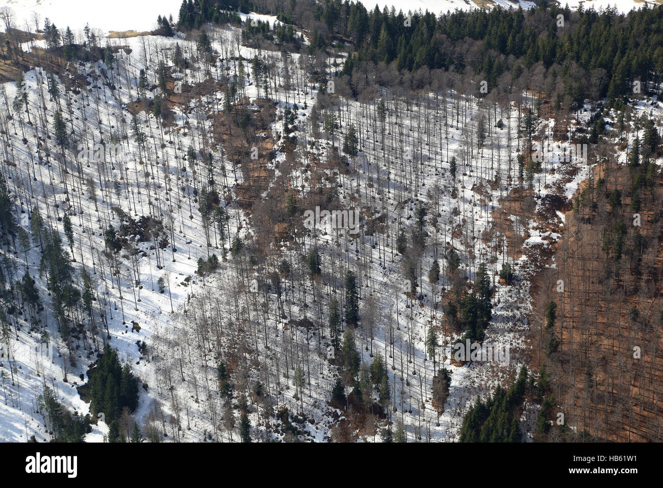 Area around Feldberg in the Black Forest Stock Photo