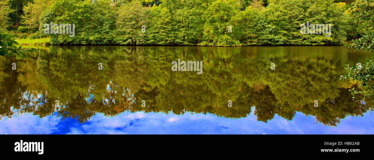 Peaceful lake in forest hi-res stock photography and images - Alamy