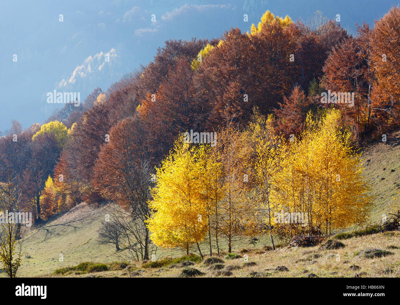 Golden autumn in mountain Stock Photo - Alamy