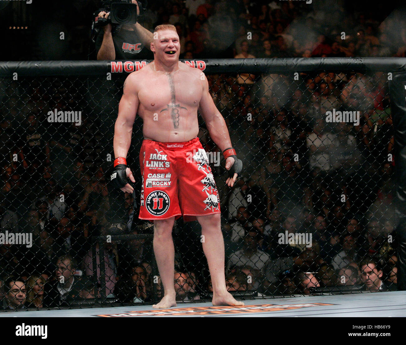 Brock 2024 lesnar ufc