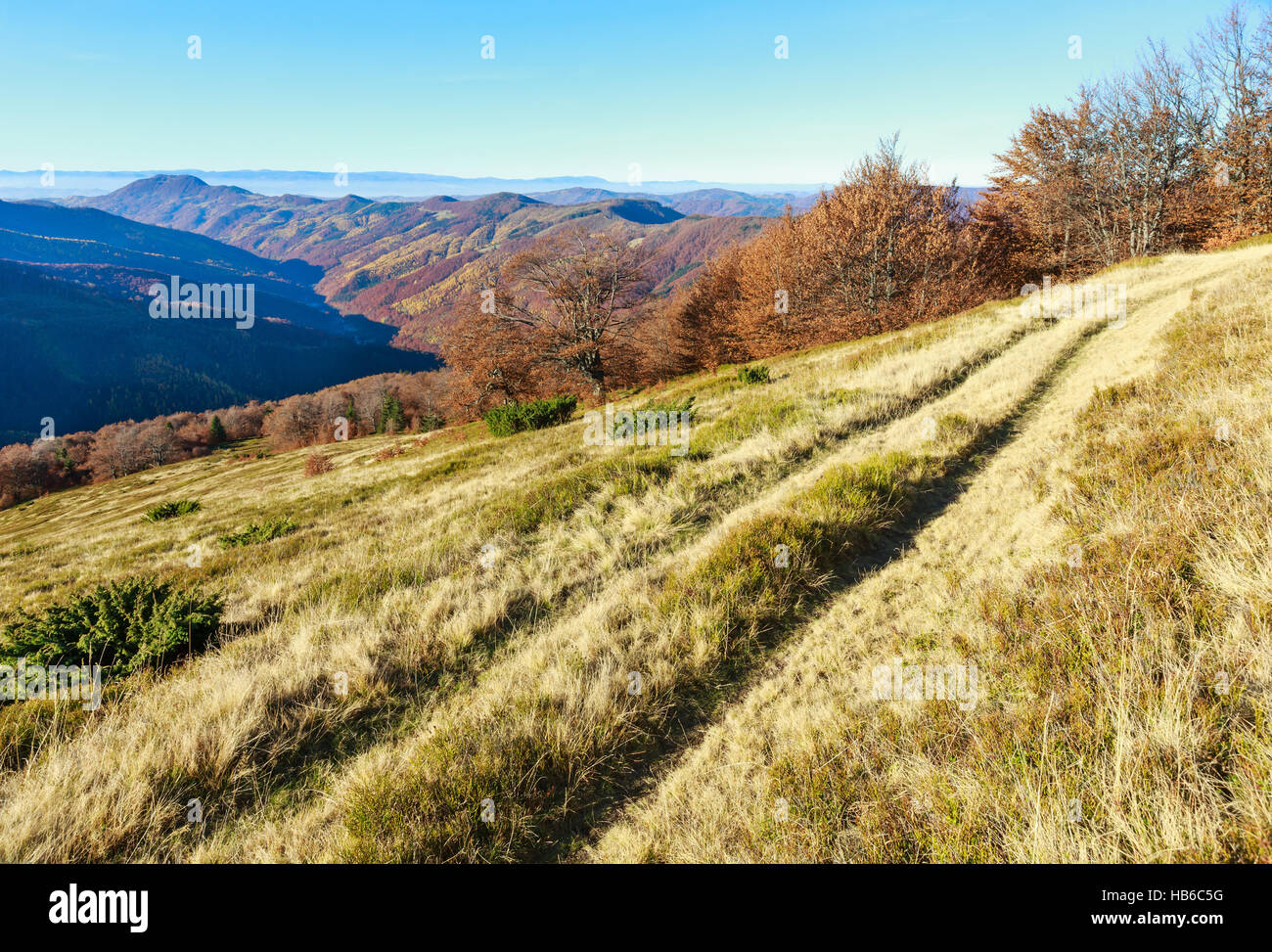 Rural road in autumn mountain Stock Photo - Alamy