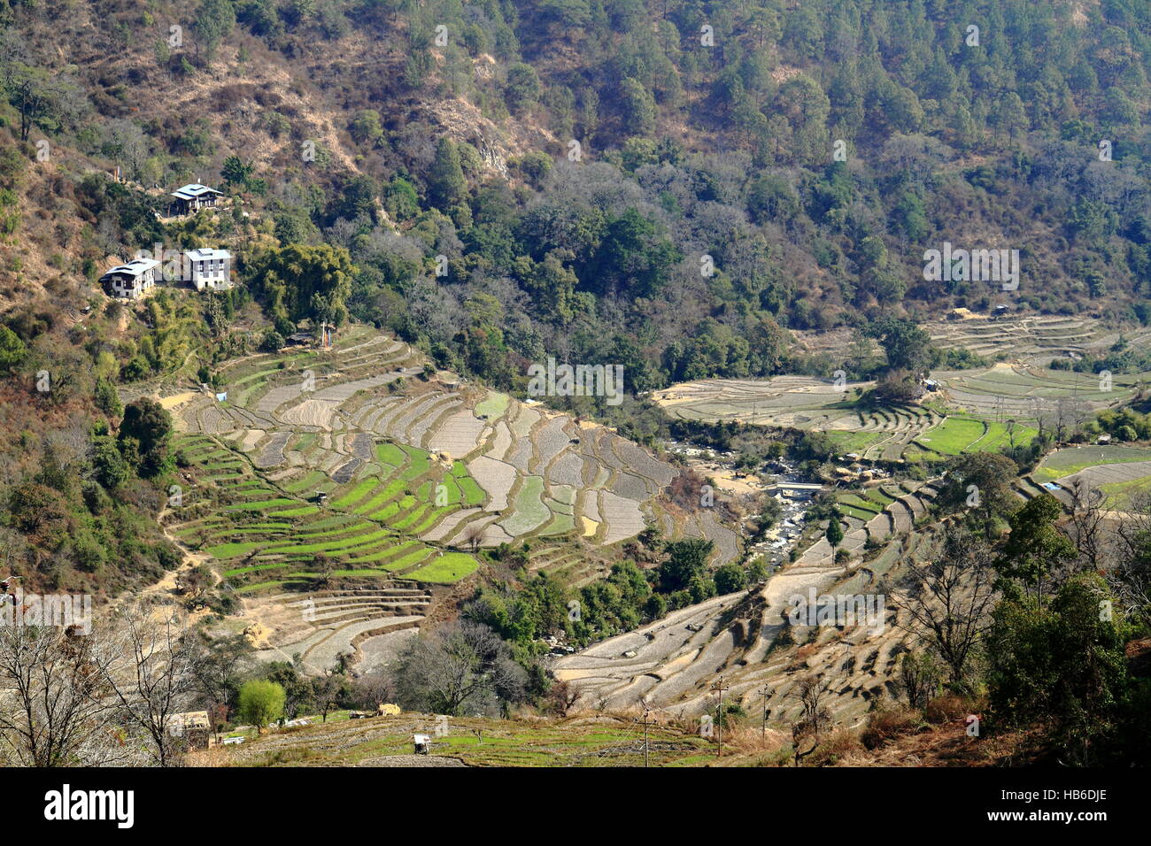 Wangdue Phodrang Valley, Bhutan Stock Photo