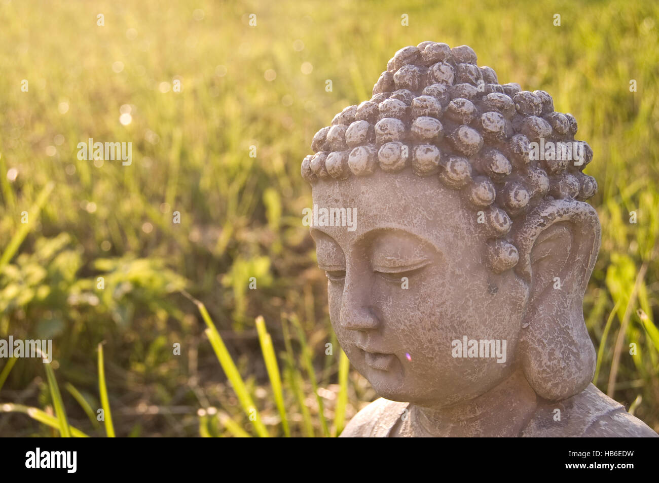 Portrait of Buddha image and light ray on sunny meadow background ...