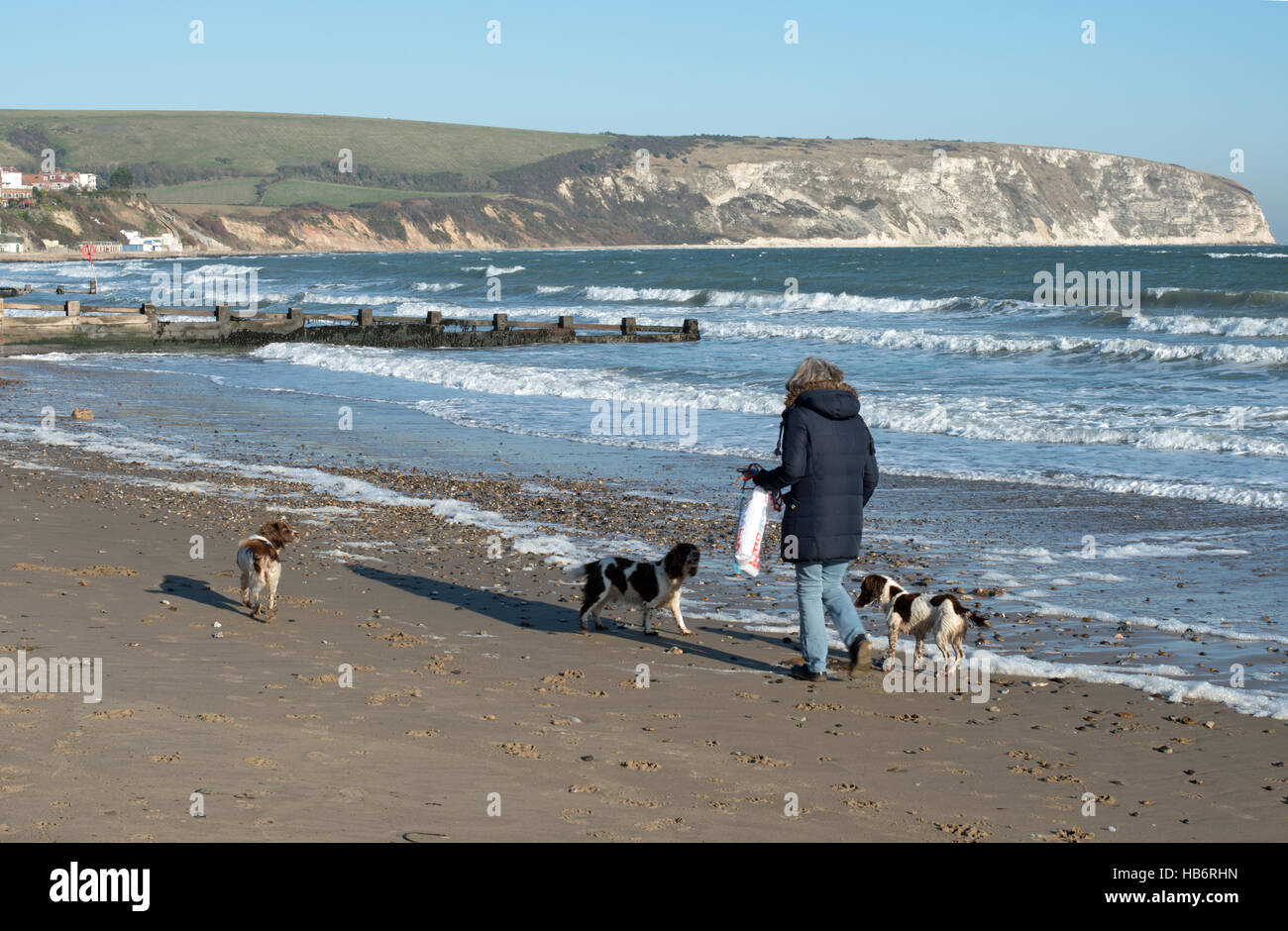Dog friendly beaches at Swanage Stock Photo Alamy