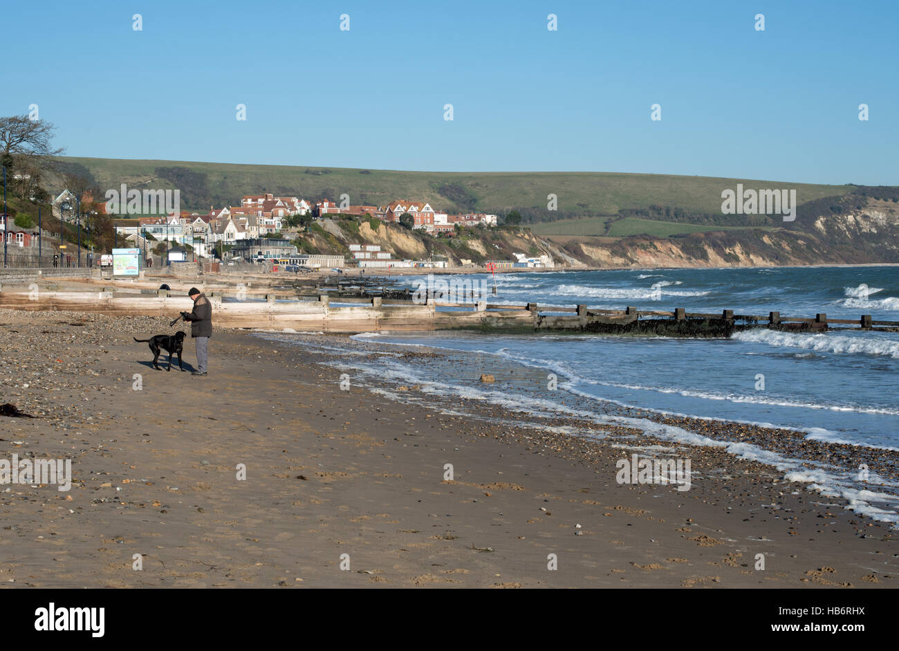 Dog friendly beaches at Swanage Stock Photo Alamy