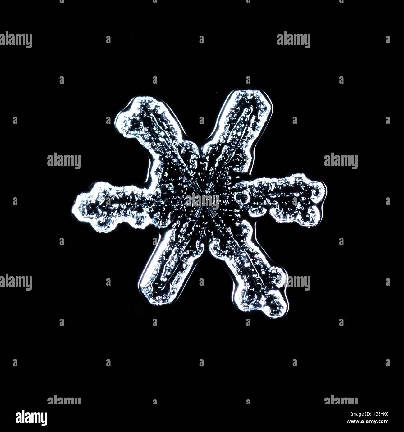 natural snowflakes, photo real snowflakes during a snowfall, under