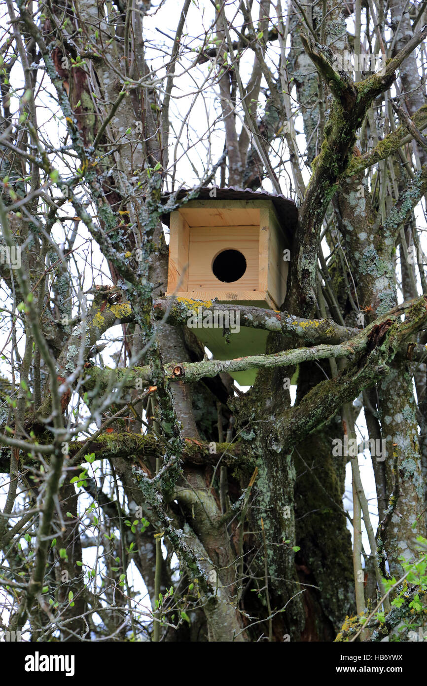 Nesting box for little owl Stock Photo