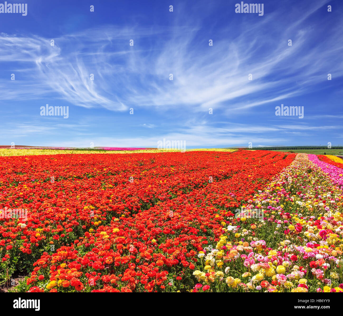 Windy spring day Stock Photo