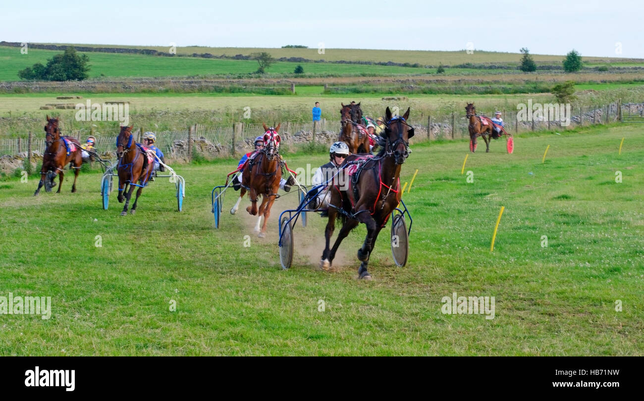 Light-weight Sulkys racing at Pikehall in the English Peak District, pacing, the ponies must not gallop Stock Photo
