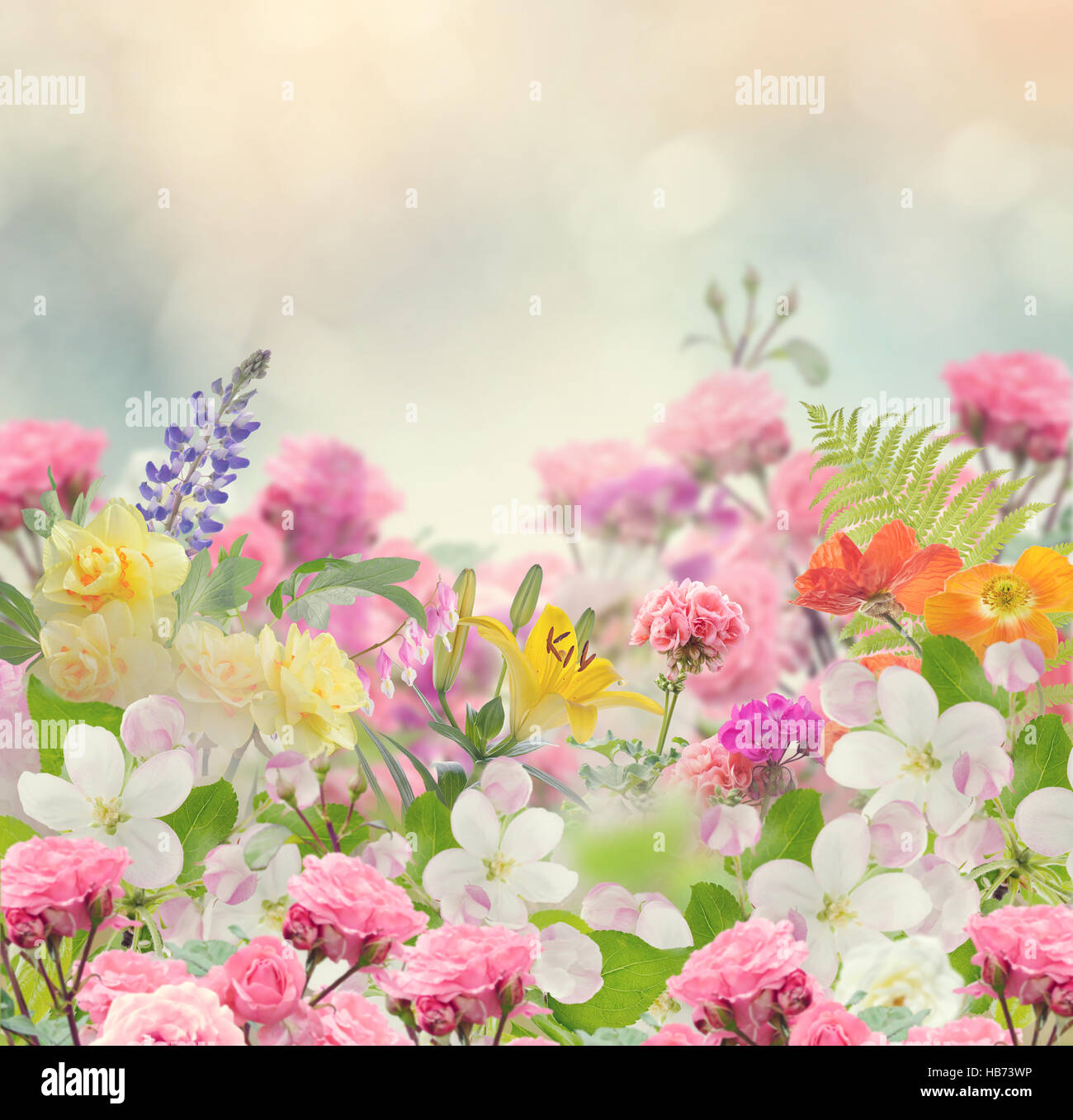 Beautiful Flowers Background Stock Photo