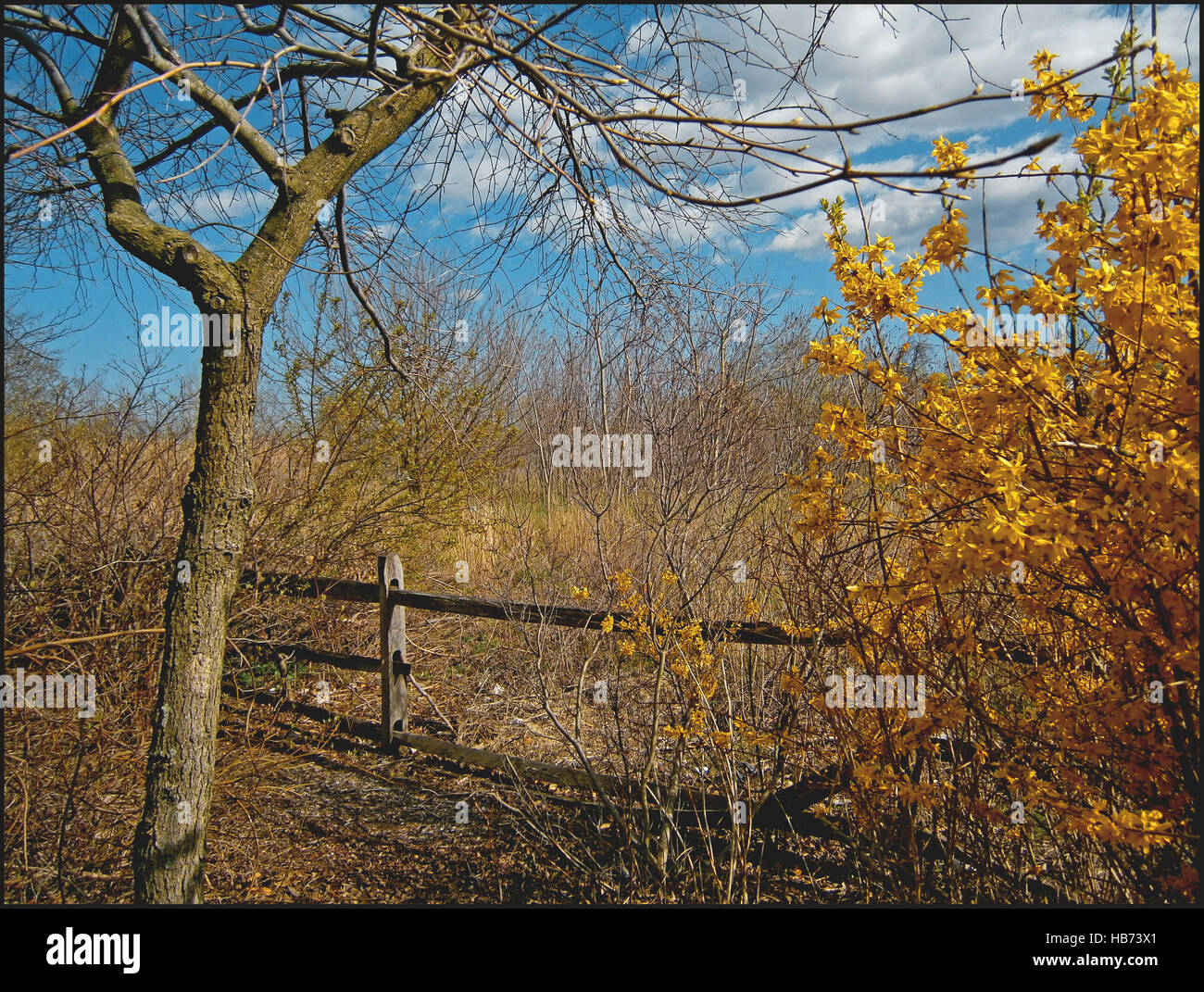 Liberty State Park Stock Photo Alamy