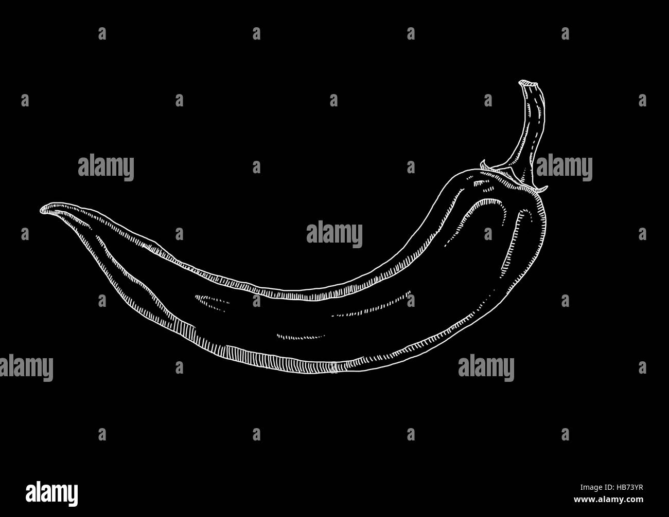 Picture of white chilli pepper on the black background Stock Photo