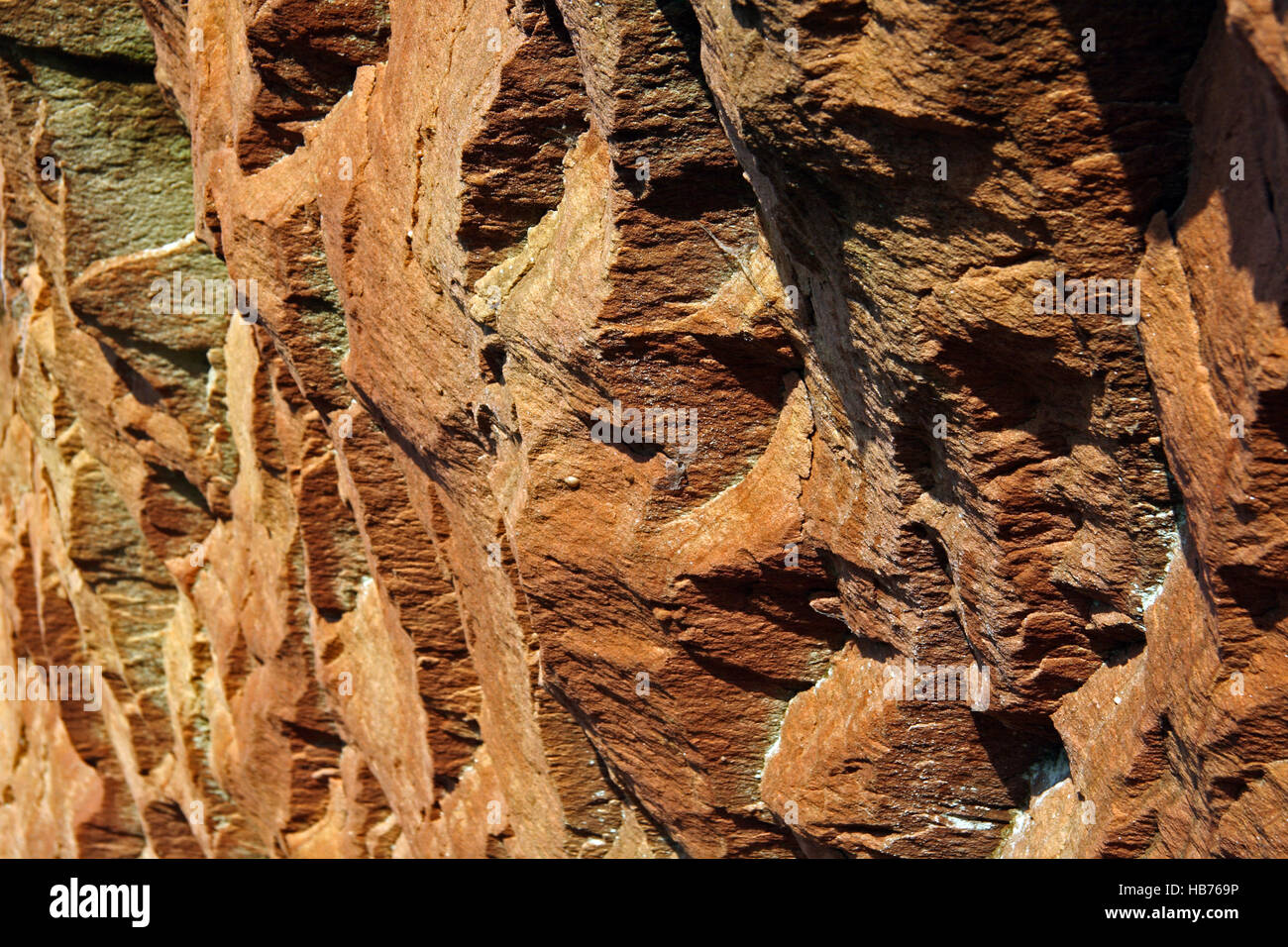 Coquina shell sandstone hi-res stock photography and images - Alamy